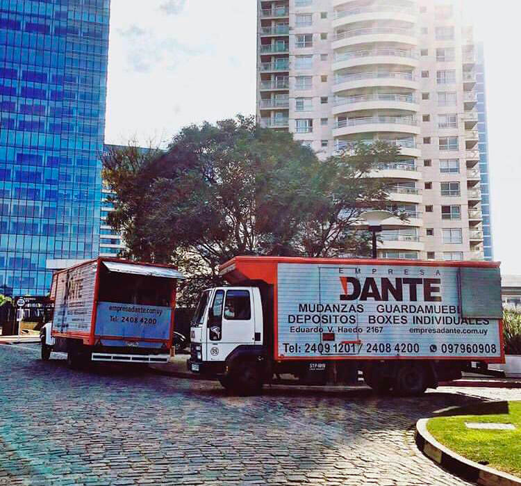 Dante removals working on the Nautical Towers